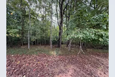 6700 Lot 25+/- Acres Doral Drive, Tobaccoville, NC 27050 - Photo 21