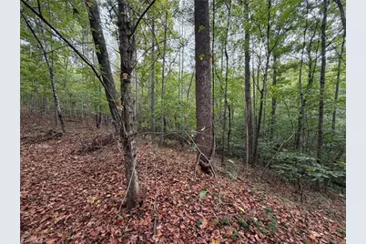 6700 Lot 25+/- Acres Doral Drive, Tobaccoville, NC 27050 - Photo 19