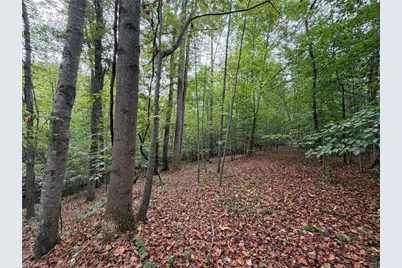 6700 Lot 25+/- Acres Doral Drive, Tobaccoville, NC 27050 - Photo 17