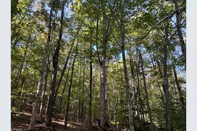 000 Quaker Road, Mount Airy, NC 27030 - Photo 5