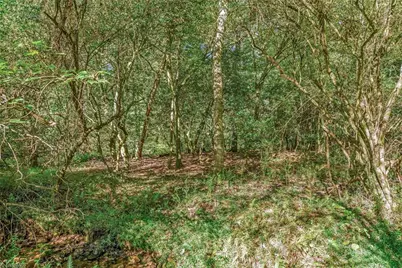 Off Ruritan Park Road, North Wilkesboro, NC 28659 - Photo 25