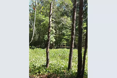 1075 Augusta Hicks Road, Walnut Cove, NC 27052 - Photo 3