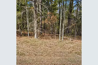Lt 11 Lynn Smith Road, Semora, NC 27343 - Photo 1