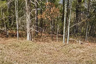 Lt 11 Lynn Smith Rd, Semora, NC 27343 - Photo 1