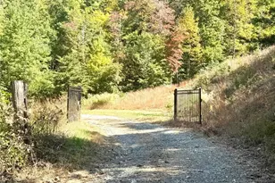 7752 W Pine St, Lowgap, NC 27024 - Photo 29