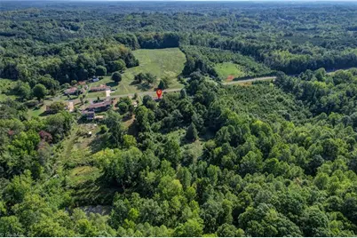 2036 Camp Springs Road, Reidsville, NC 27320 - Photo 49