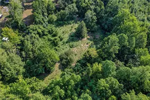 2036 Camp Springs Rd, Reidsville, NC 27320 - Photo 47