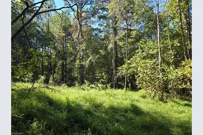 0 Cemetery Street, East Bend, NC 27018 - Photo 9