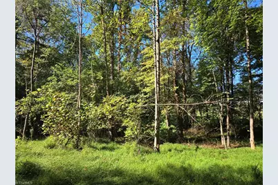 0 Cemetery Street, East Bend, NC 27018 - Photo 11