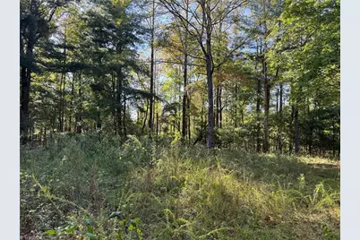 00 One Mile Road, Traphill, NC 28635 - Photo 23