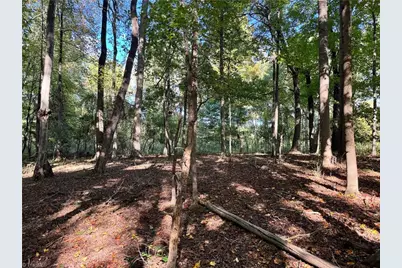 00 One Mile Road, Traphill, NC 28635 - Photo 13