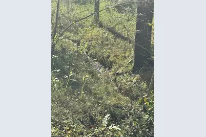 00 One Mile Road, Traphill, NC 28635 - Photo 15