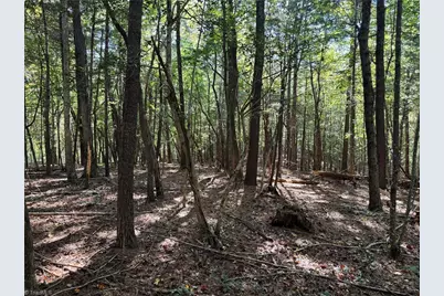 00 One Mile Road, Traphill, NC 28635 - Photo 21
