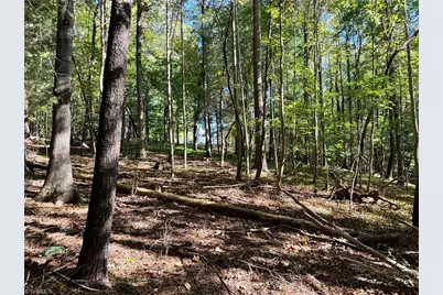 00 One Mile Road, Traphill, NC 28635 - Photo 19