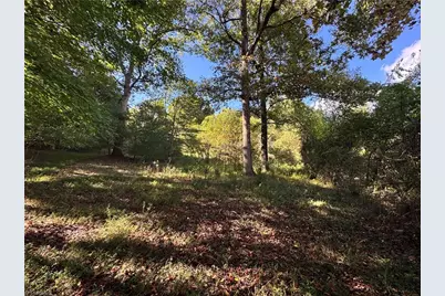 00 One Mile Road, Traphill, NC 28635 - Photo 5