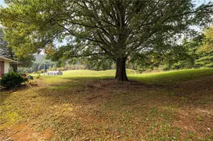 1465 Ramey Creek Rd, Lowgap, NC 27024 - Photo 37