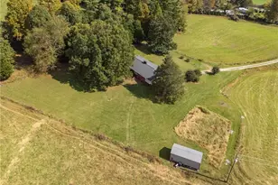 1465 Ramey Creek Rd, Lowgap, NC 27024 - Photo 41
