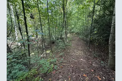 Tbd Casey Mountain Road, Purlear, NC 28665 - Photo 15