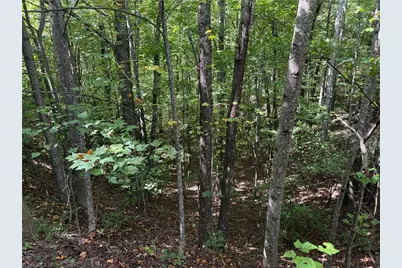 Tbd Casey Mountain Road, Purlear, NC 28665 - Photo 7
