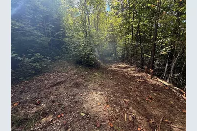 Tbd Casey Mountain Road, Purlear, NC 28665 - Photo 11