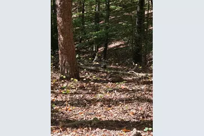 00 Power Dam Road, Walnut Cove, NC 27052 - Photo 5