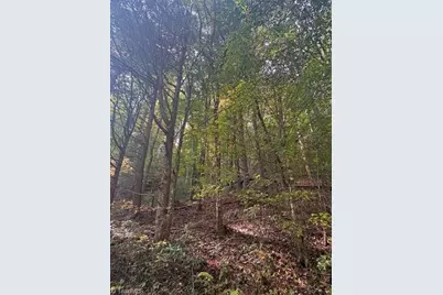 Tbd Caseys Branch Road, Purlear, NC 28665 - Photo 15
