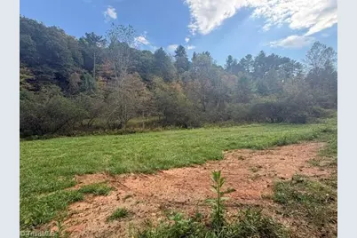 Tbd Caseys Branch Road, Purlear, NC 28665 - Photo 9