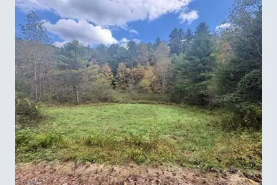 Tbd Caseys Branch Road, Purlear, NC 28665 - Photo 1