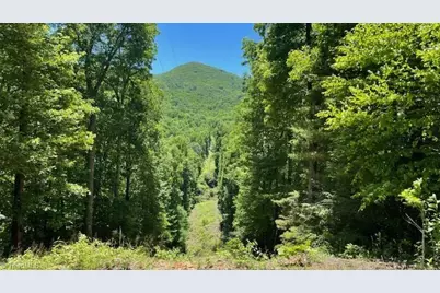 1629 White Rock Road, Cullowhee, NC 28723 - Photo 1