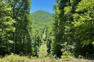 1629 White Rock Rd, Cullowhee, NC 28723 - Photo 1
