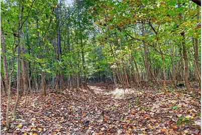 2347 Clacie Lane, Liberty, NC 27298 - Photo 37