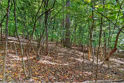 2347 Clacie Lane, Liberty, NC 27298 - Photo 27