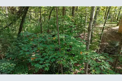 Tbd Woodland Drive, Elkin, NC 28621 - Photo 11