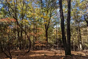000 Nc Hwy 16 S, Jefferson, NC 28640 - Photo 1
