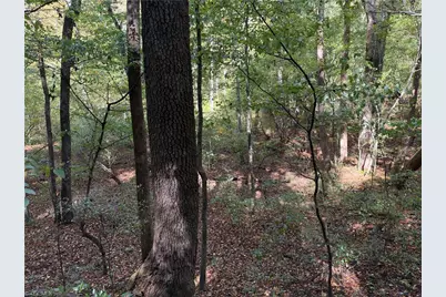 Tbd Vannoy Ridge Road, Moravian Falls, NC 28654 - Photo 17