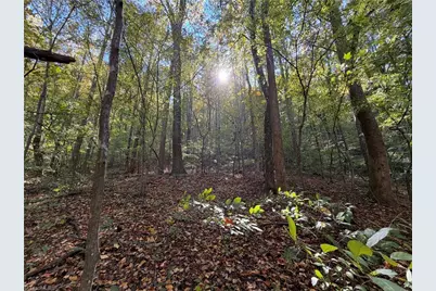 Tbd Vannoy Ridge Road, Moravian Falls, NC 28654 - Photo 23