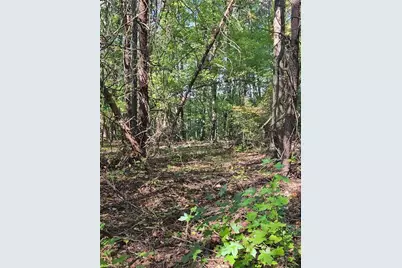 1225 Perch Road, Pinnacle, NC 27043 - Photo 5