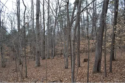 17 Acres Davie Lane, Madison, NC 27025 - Photo 21
