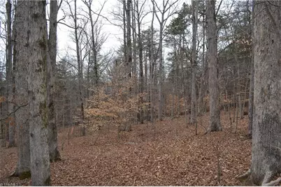 17 Acres Davie Lane, Madison, NC 27025 - Photo 19