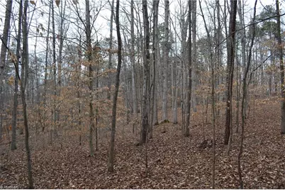 17 Acres Davie Lane, Madison, NC 27025 - Photo 17