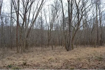 17 Acres Davie Lane, Madison, NC 27025 - Photo 15