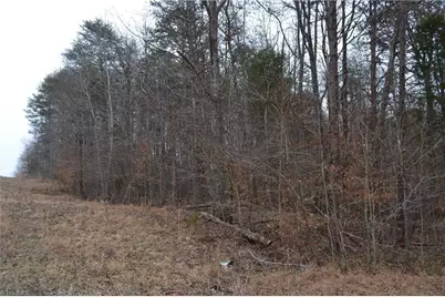 17 Acres Davie Lane, Madison, NC 27025 - Photo 7
