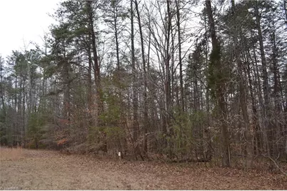 17 Acres Davie Lane, Madison, NC 27025 - Photo 5