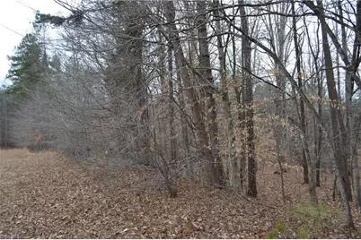 17 Acres Davie Lane, Madison, NC 27025 - Photo 23