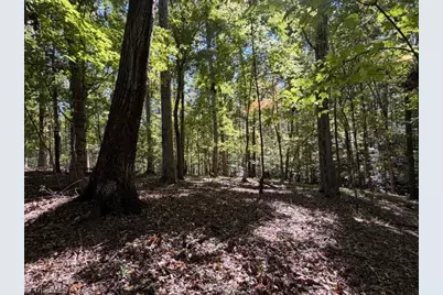 418 Cristi Lane, Dobson, NC 27017 - Photo 43