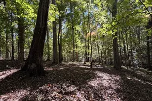 418 Cristi Ln, Dobson, NC 27017 - Photo 43
