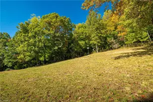 1138 Lump Rd, Purlear, NC 28665 - Photo 43
