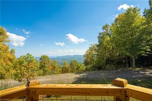 1138 Lump Rd, Purlear, NC 28665 - Photo 41