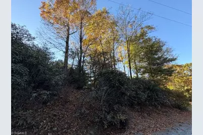 718 Green Mountain Road, Sparta, NC 28675 - Photo 27