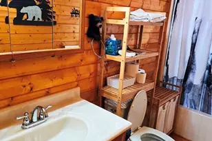 4271 Old Field Creek Rd, Grassy Creek, NC 28631 - Photo 23